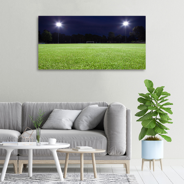 Canvas wall art Football pitch