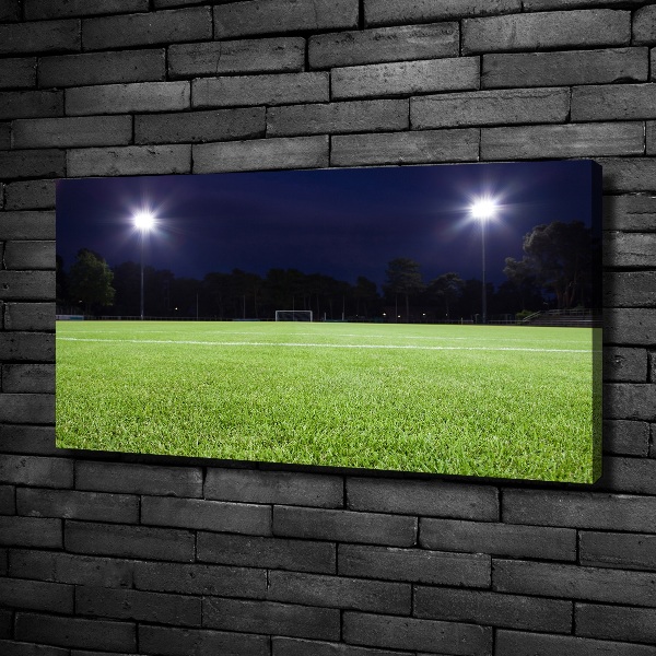 Canvas wall art Football pitch