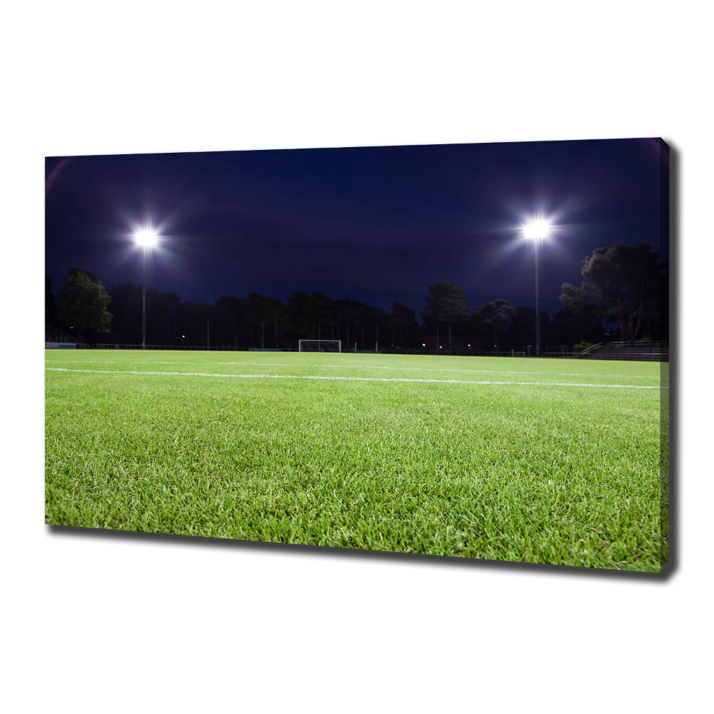 Canvas wall art Football pitch