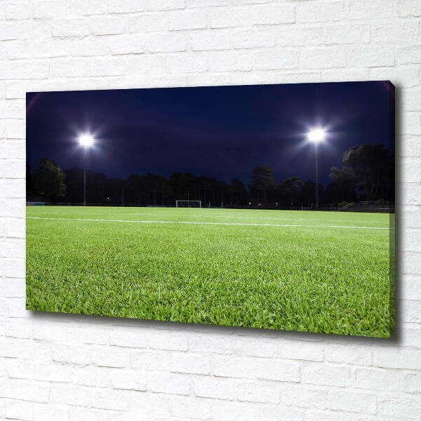 Canvas wall art Football pitch