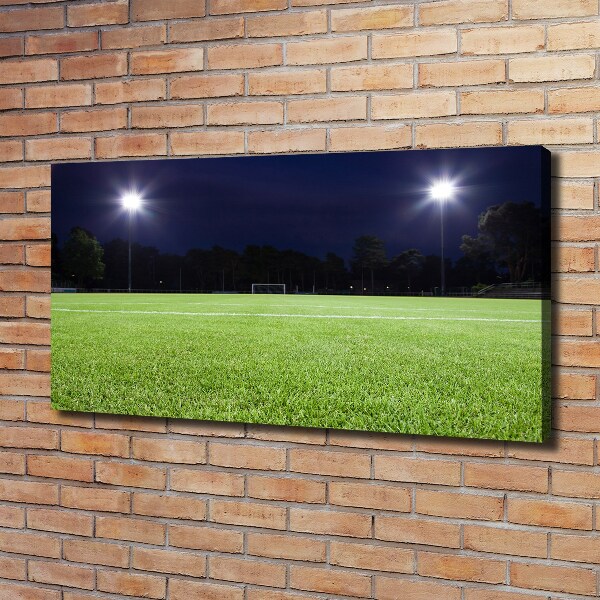 Canvas wall art Football pitch