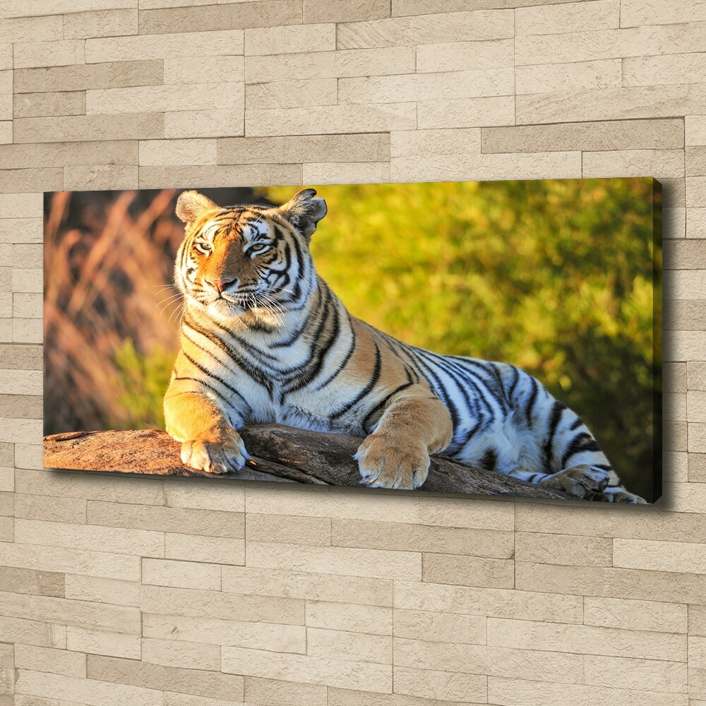 Canvas print Portrait of a tiger