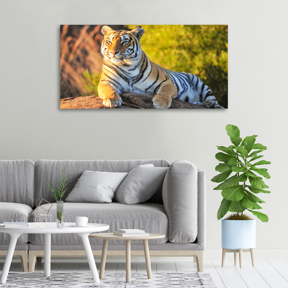 Canvas print Portrait of a tiger