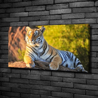 Canvas print Portrait of a tiger