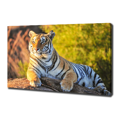 Canvas print Portrait of a tiger