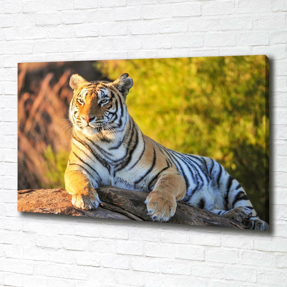 Canvas print Portrait of a tiger