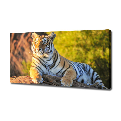 Canvas print Portrait of a tiger