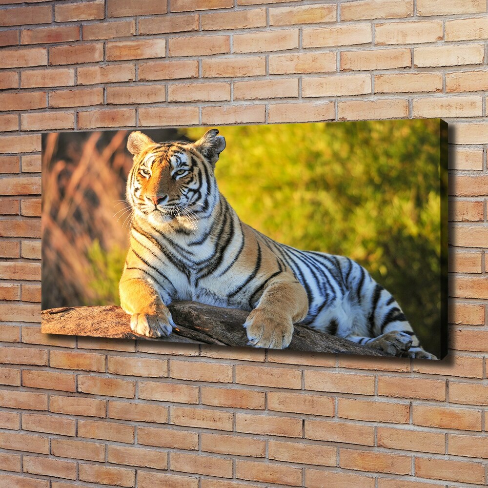 Canvas print Portrait of a tiger