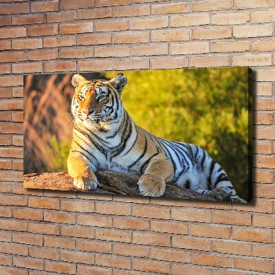 Canvas print Portrait of a tiger