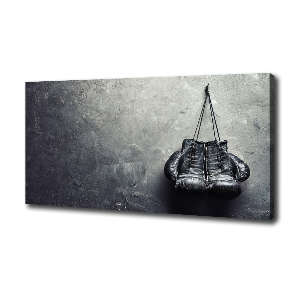 Boxing gloves