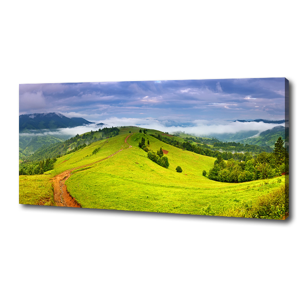 Canvas wall art Green hills