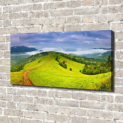 Canvas wall art Green hills