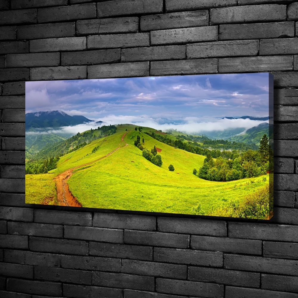 Canvas wall art Green hills