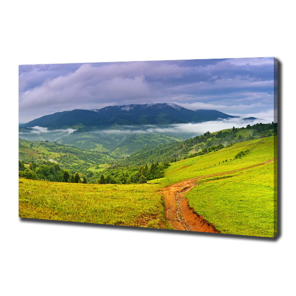 Canvas wall art Green hills