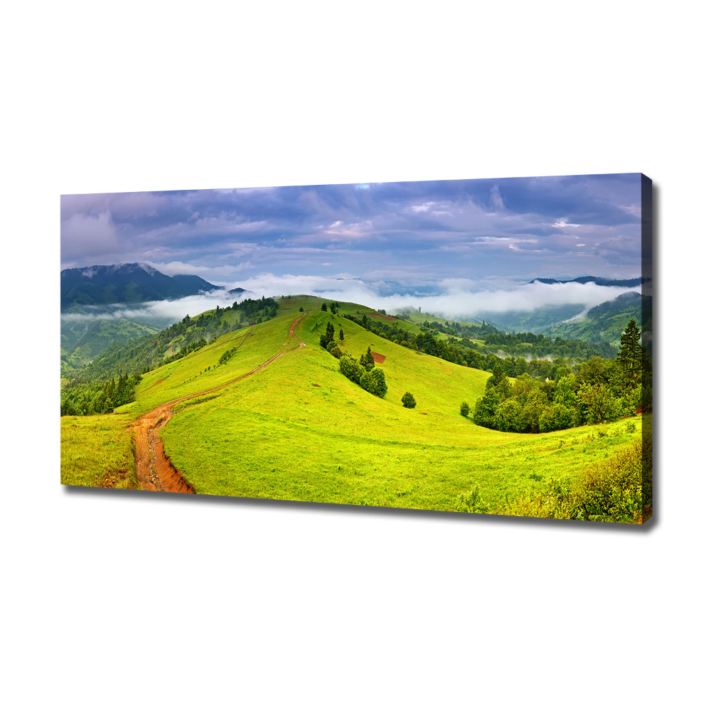 Canvas wall art Green hills