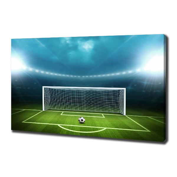 Canvas wall art Stadium