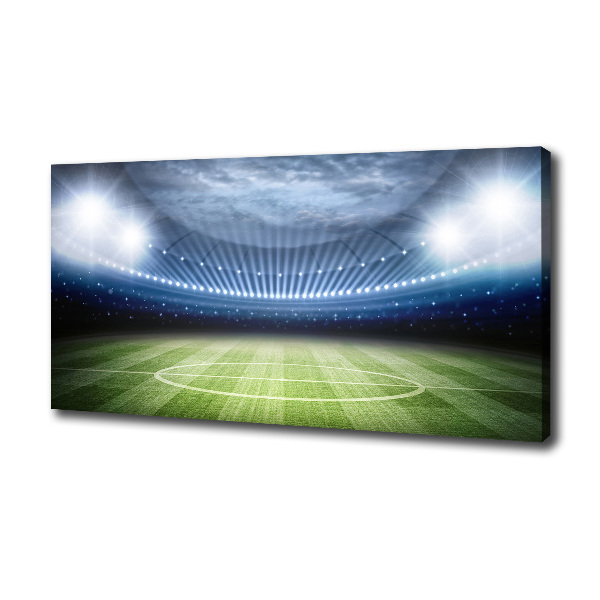 Canvas wall art Stadium