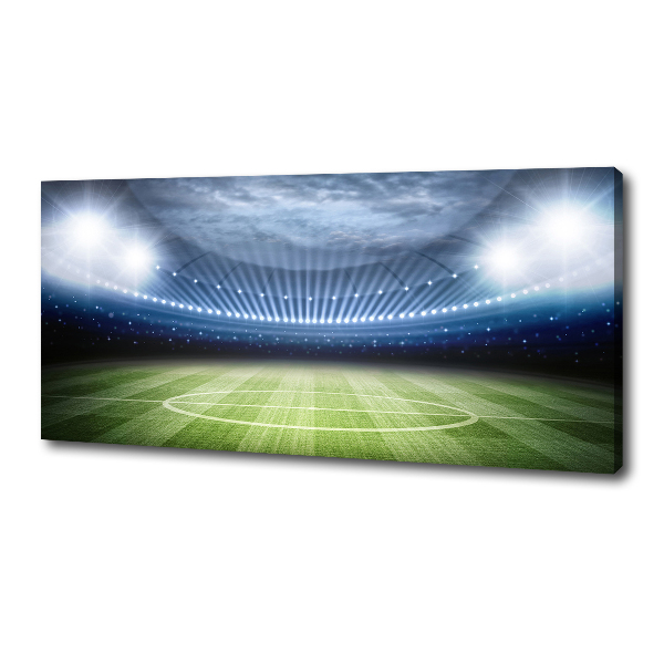 Canvas wall art Stadium