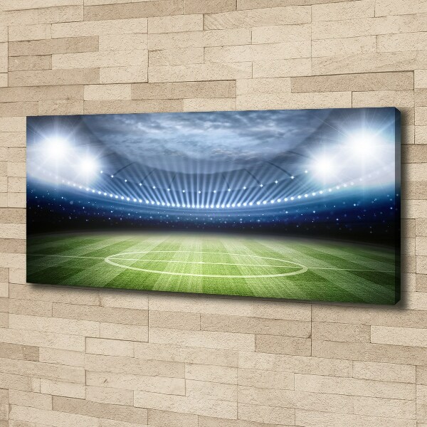 Canvas wall art Stadium