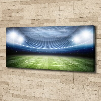 Canvas wall art Stadium