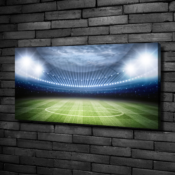 Canvas wall art Stadium