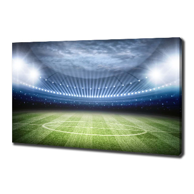 Canvas wall art Stadium