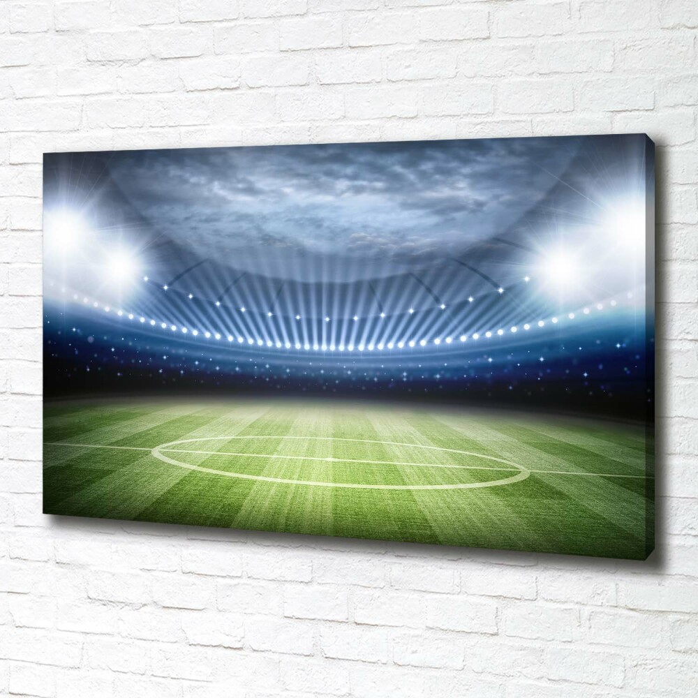 Canvas wall art Stadium