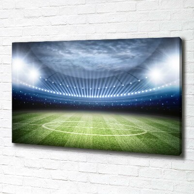 Canvas wall art Stadium