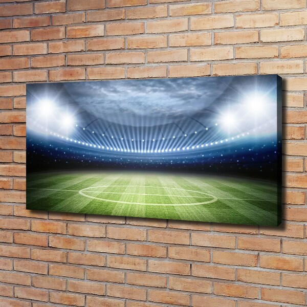 Canvas wall art Stadium