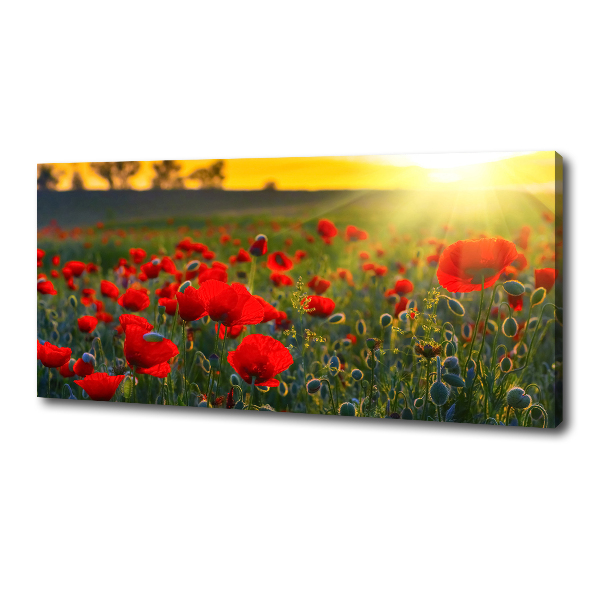 Canvas wall art Mak field