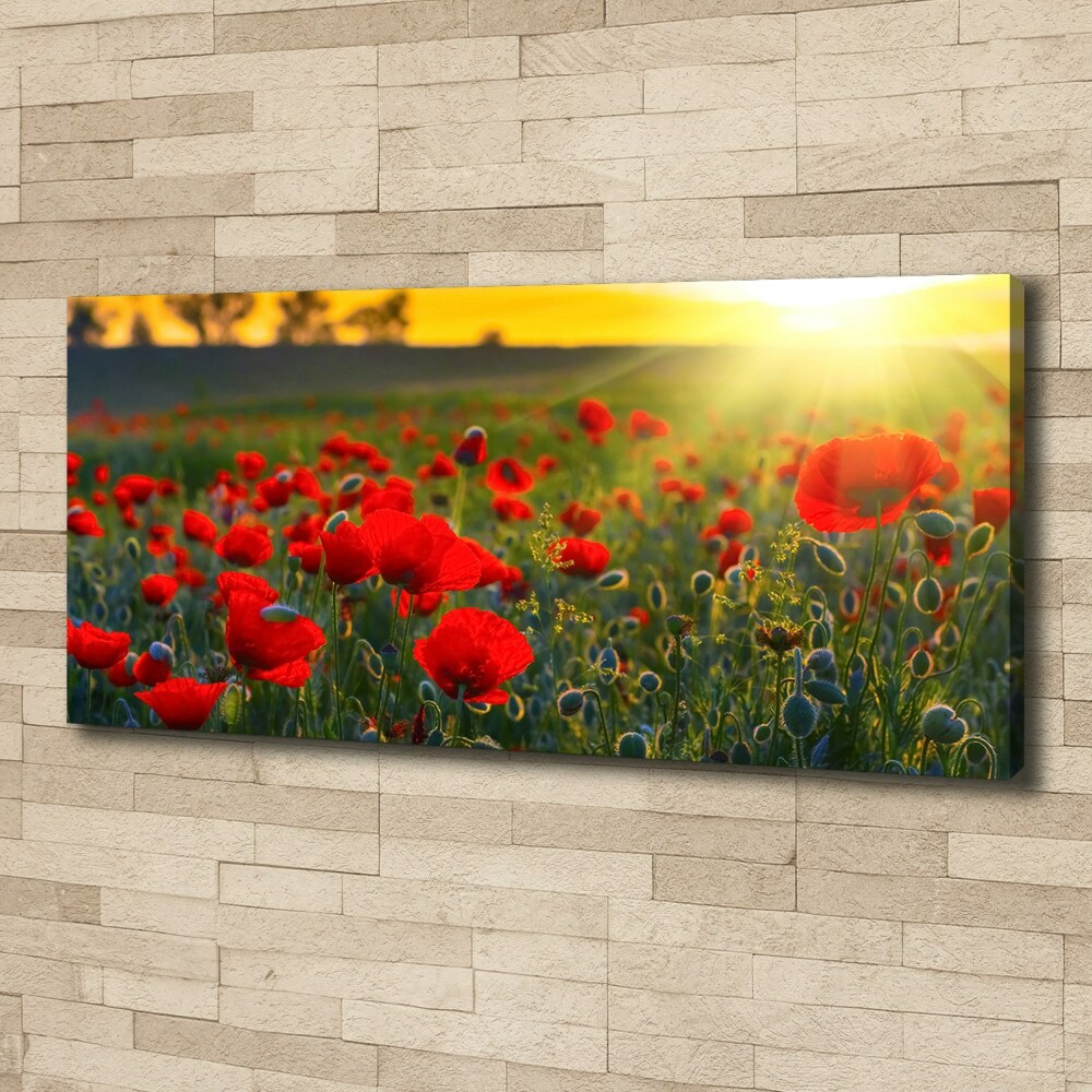 Canvas wall art Mak field