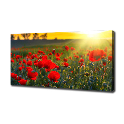 Canvas wall art Mak field