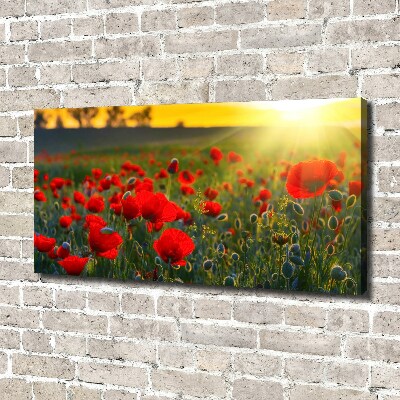 Canvas wall art Mak field