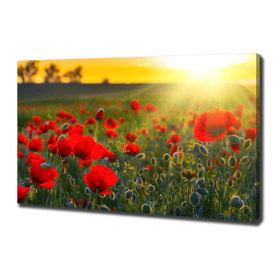 Canvas wall art Mak field