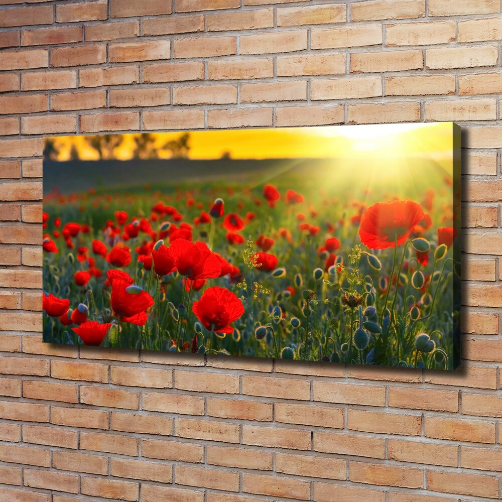 Canvas wall art Mak field