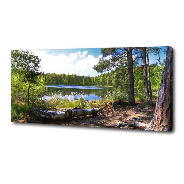 Canvas wall art Forest panorama