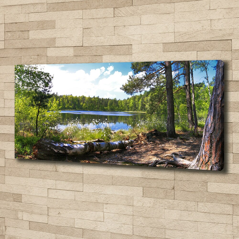 Canvas wall art Forest panorama