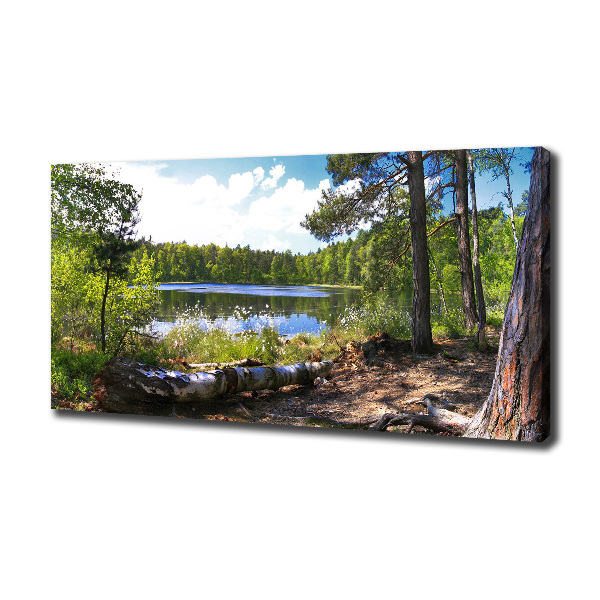 Canvas wall art Forest panorama