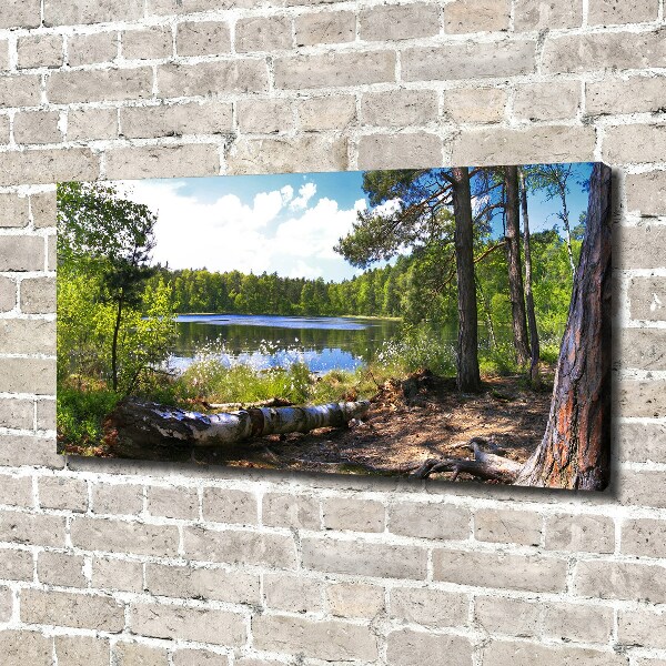 Canvas wall art Forest panorama