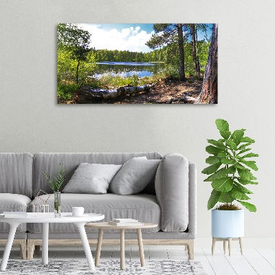 Canvas wall art Forest panorama