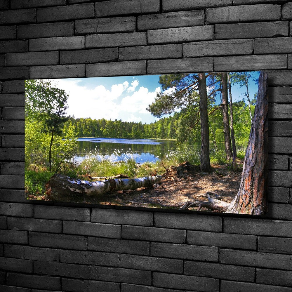 Canvas wall art Forest panorama