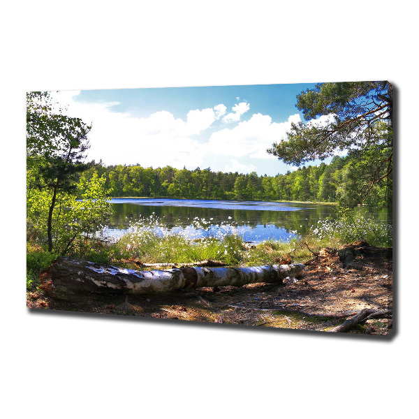 Canvas wall art Forest panorama