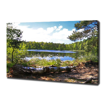 Canvas wall art Forest panorama