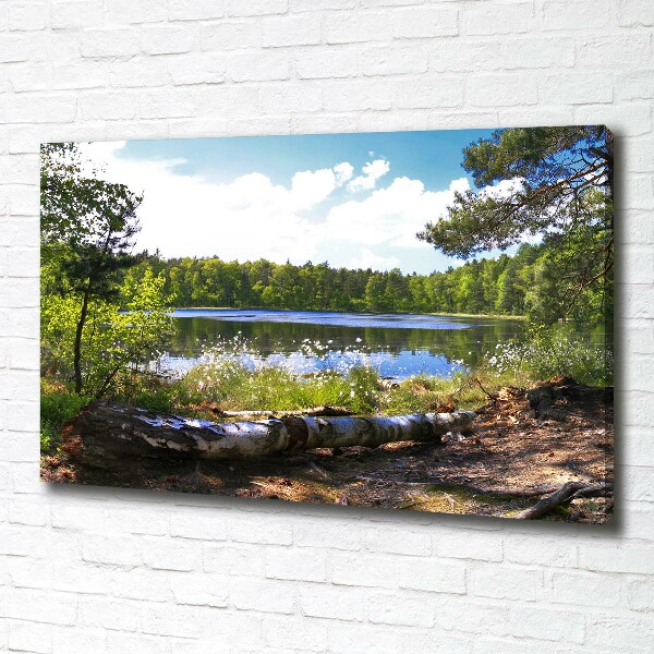 Canvas wall art Forest panorama