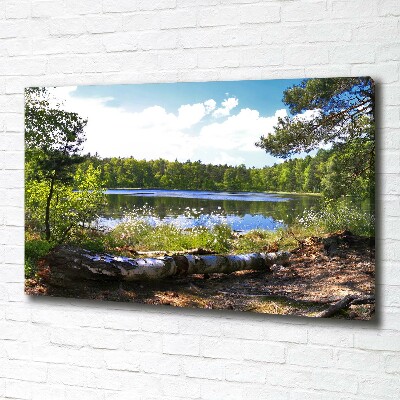 Canvas wall art Forest panorama