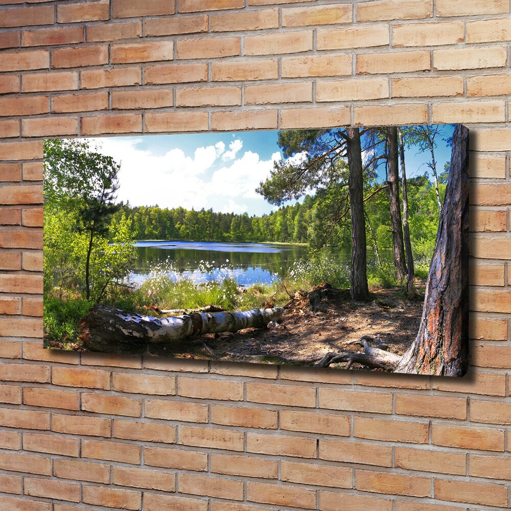 Canvas wall art Forest panorama