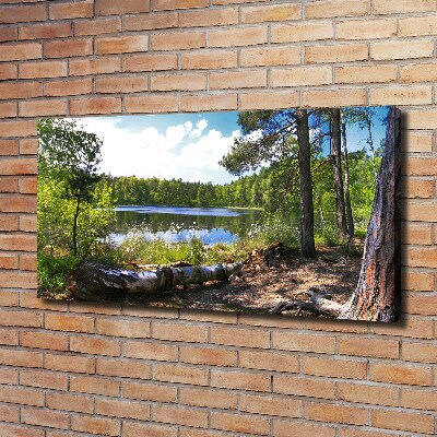 Canvas wall art Forest panorama