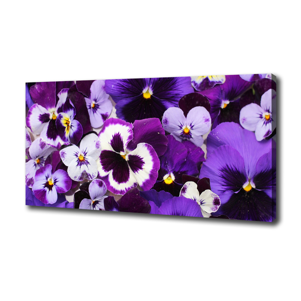 Canvas wall art Pansies