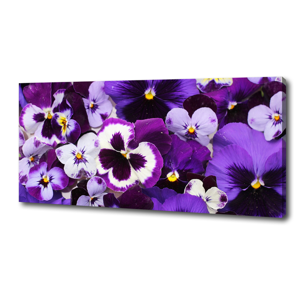 Canvas wall art Pansies