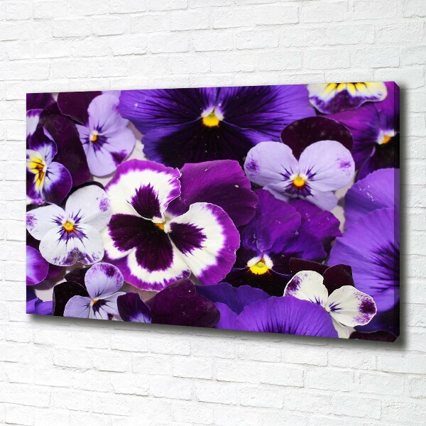 Canvas wall art Pansies